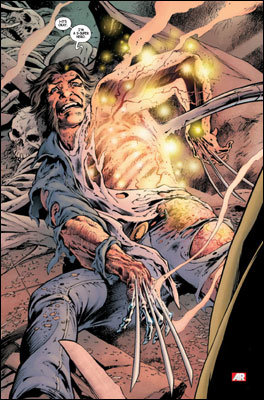 Wolverine # 1 Wolverine # 1