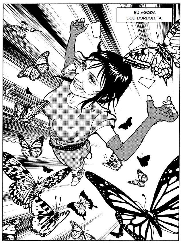 Butterfly Chronicles Butterfly Chronicles