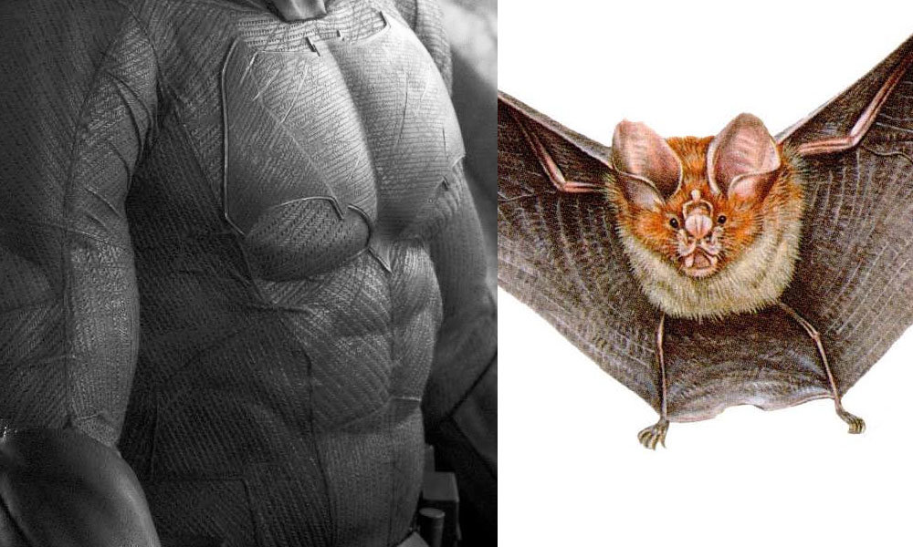 Textura do uniforme Textura do uniforme